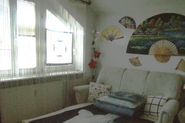 Zdjęcie 32988