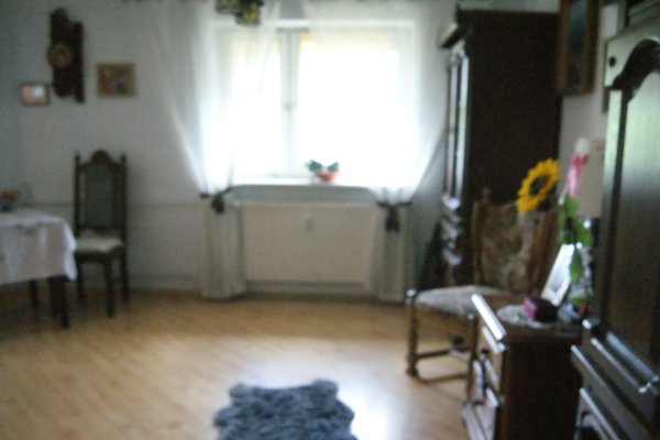 Zdjęcie 32986