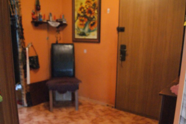 Zdjęcie 32992